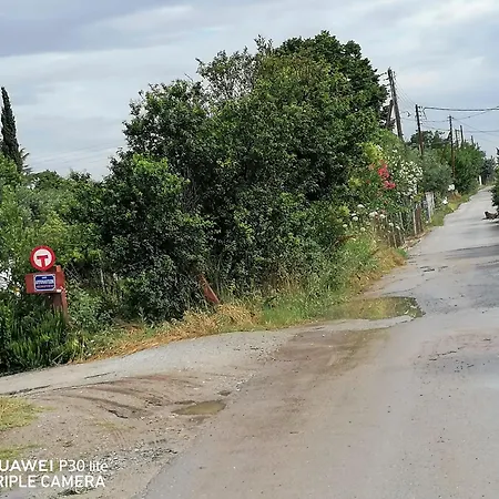 Anastasia 1ος όροφος εξοχικής παραθαλάσσιας κατοικίας χαλκιδικής Feriehus