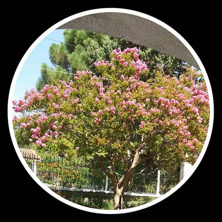 Ferienhaus Anastasia 1ος όροφος εξοχικής παραθαλάσσιας κατοικίας χαλκιδικής *