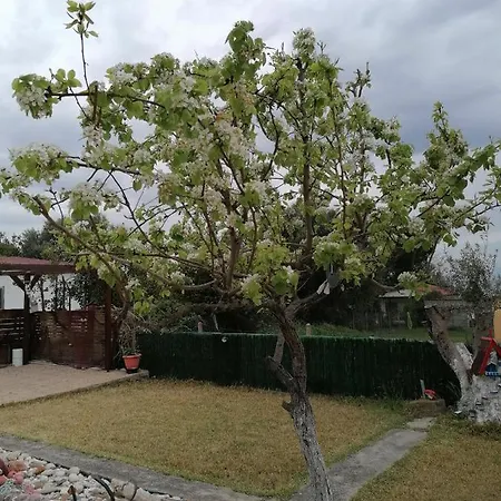 Anastasia: Beachfront Ground Floor Holiday In Nea Herakleia, Chalkidiki Holiday home *