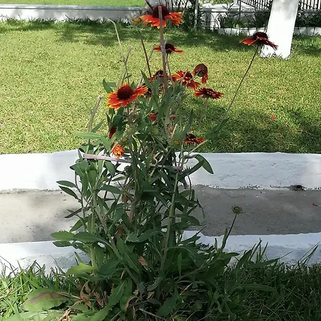 Anastasia 1ος όροφος εξοχικής παραθαλάσσιας κατοικίας χαλκιδικής * Νέα Ηράκλεια