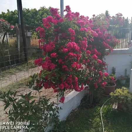Anastasia 1ος όροφος εξοχικής παραθαλάσσιας κατοικίας χαλκιδικής Néa Iráklia