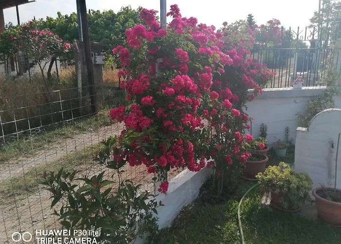 Anastasia 1ος όροφος εξοχικής παραθαλάσσιας κατοικίας χαλκιδικής Néa Iráklia